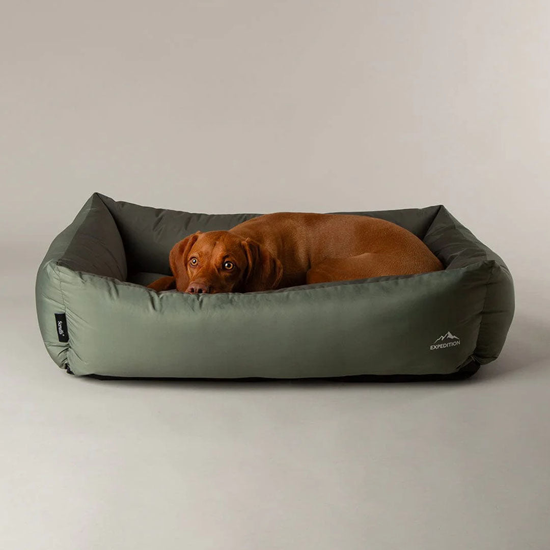 Scruffs Expedition Box Bed