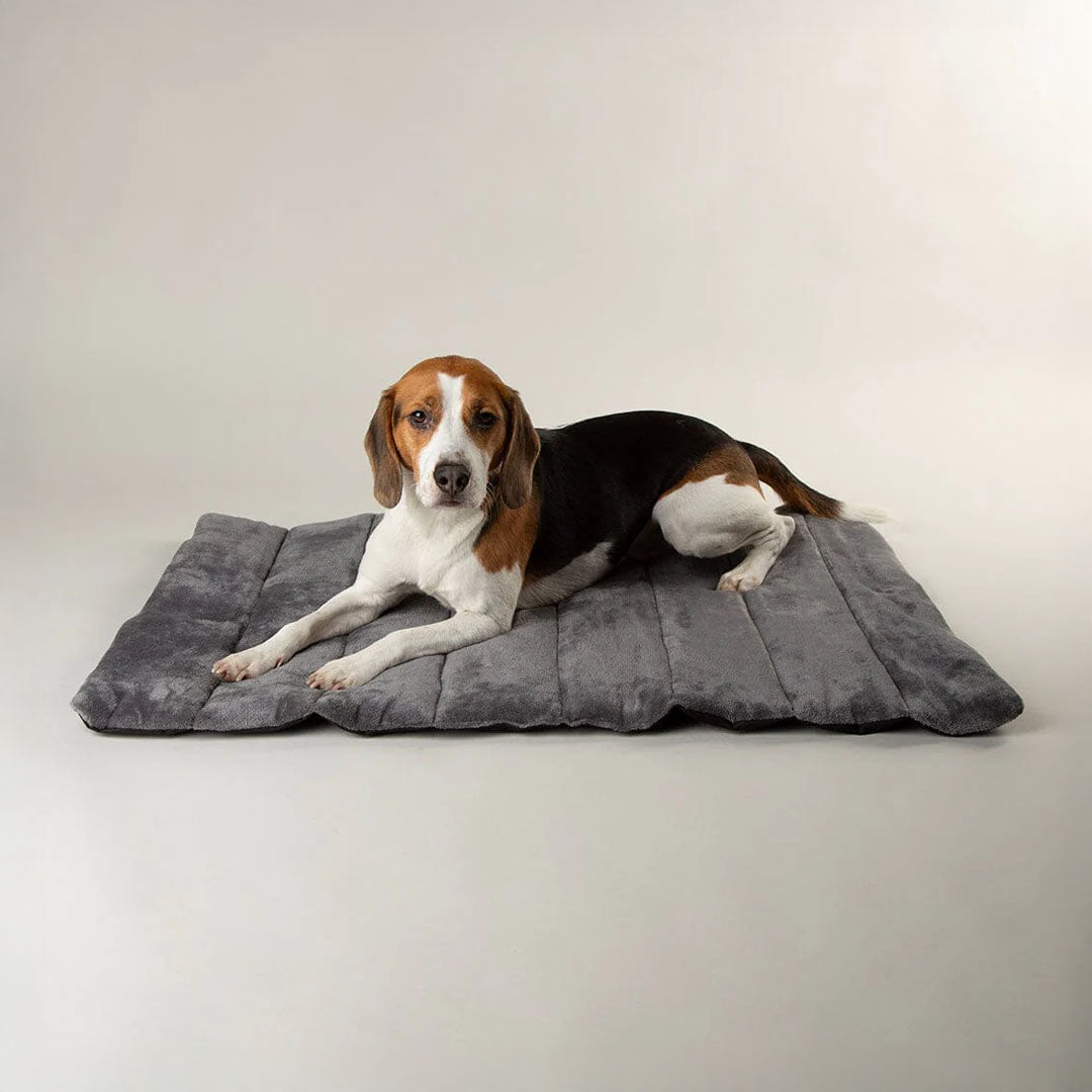 Scruffs Expedition Roll Up Travel Pet Bed