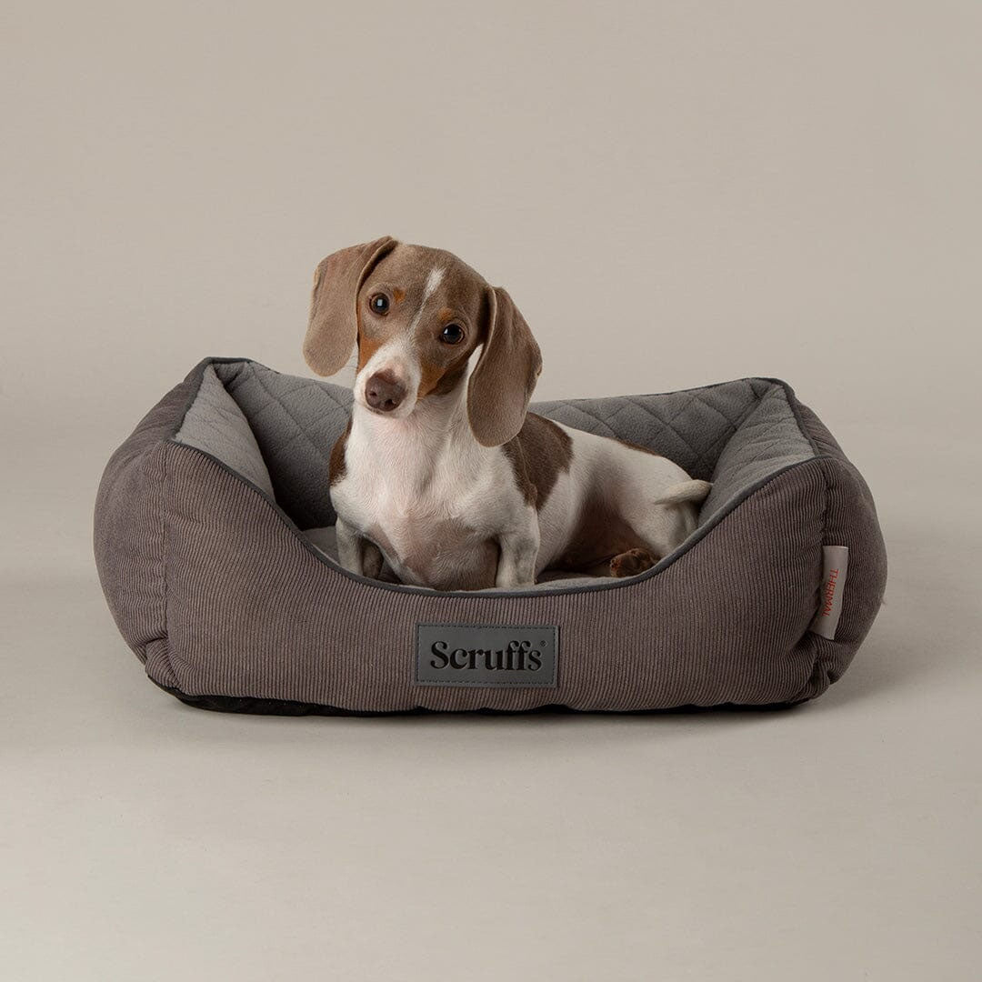 Scruffs Thermal Box Bed