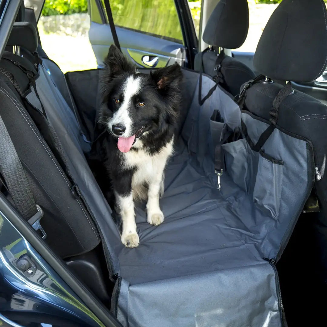 Henry Wag Pet Car Seat Hammock - comfy pet car seat cover for dog travel safety