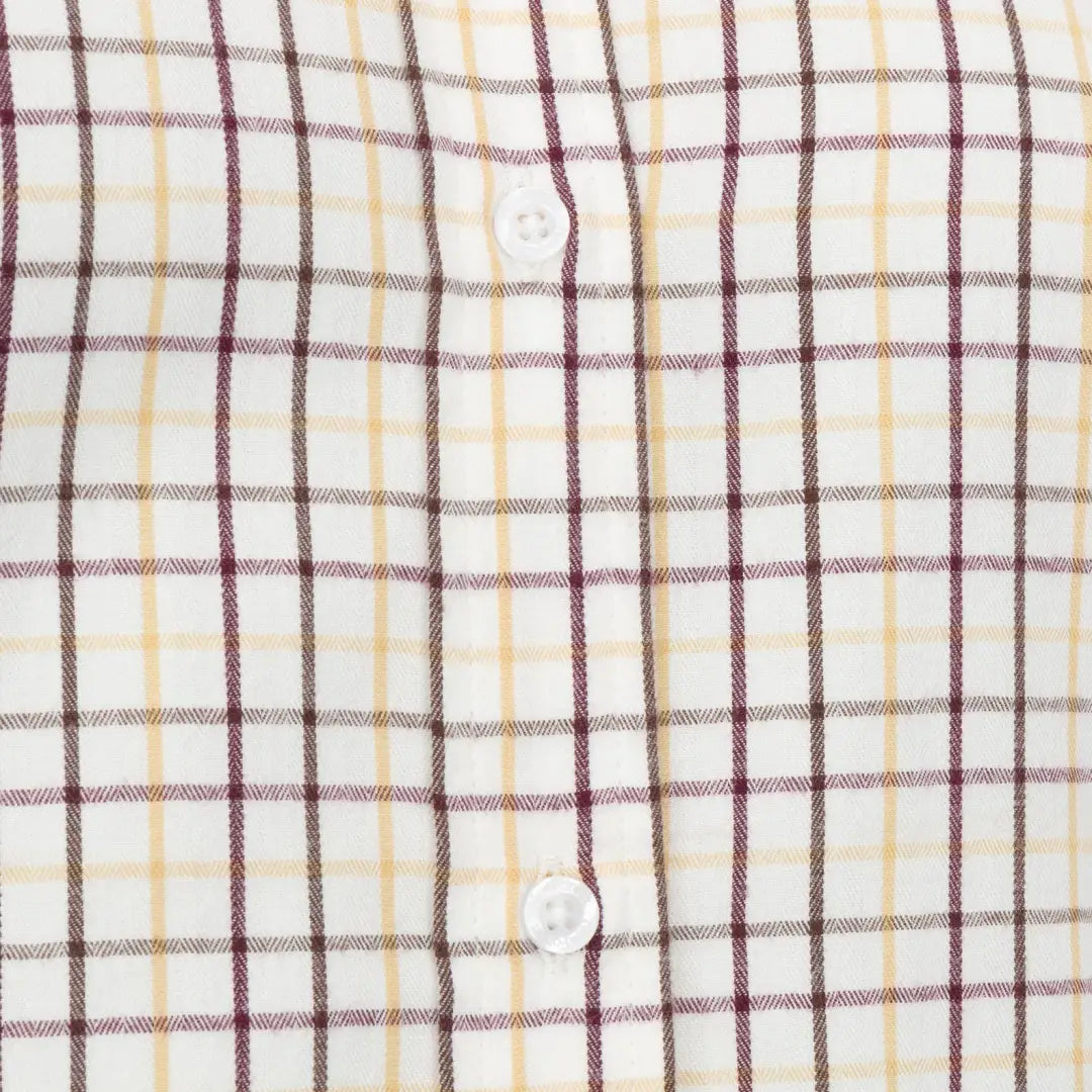 Crisp white New Forest premium tattersall shirt with subtle plaid stripes