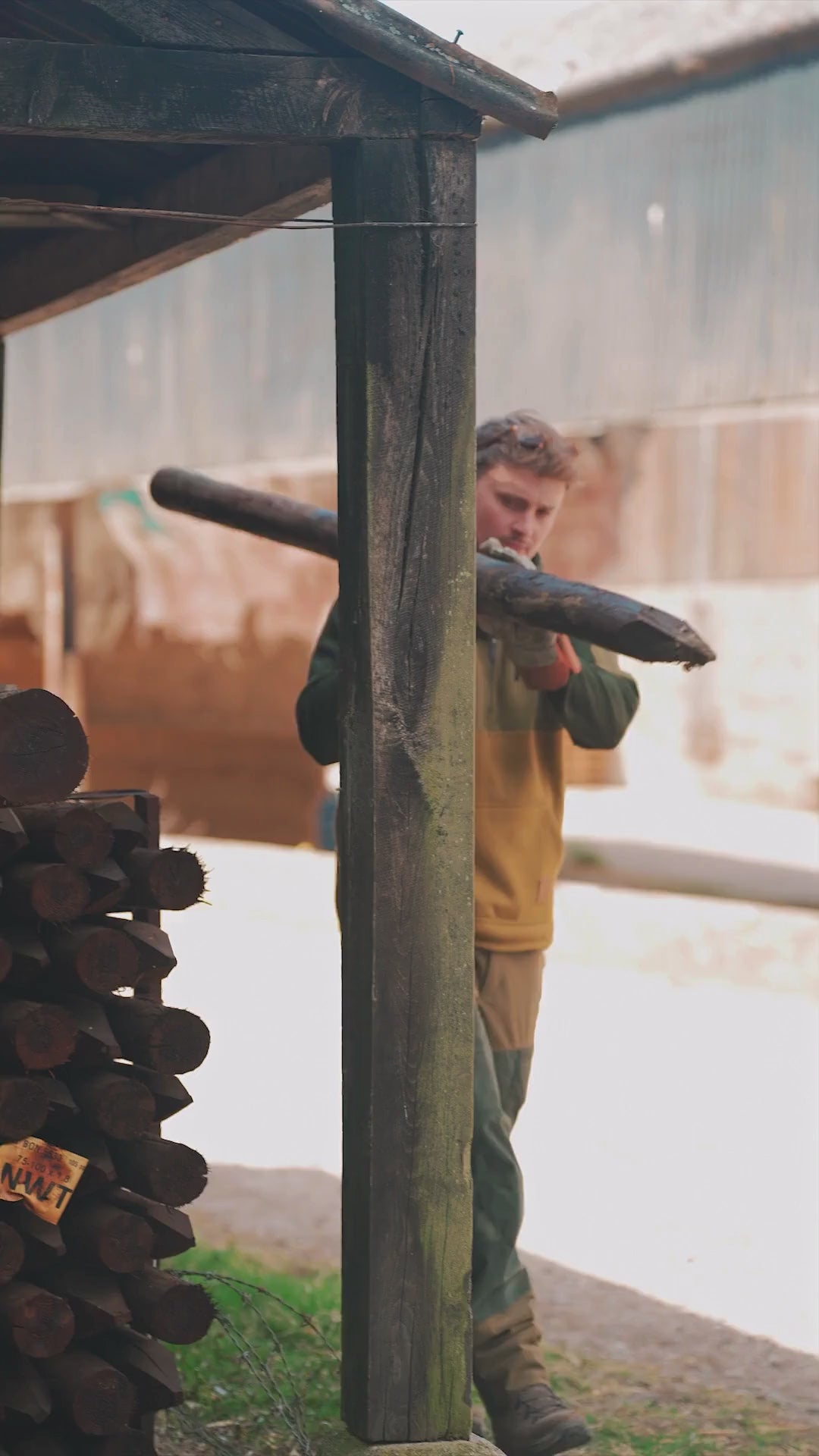 Load video: New Forest Raptor Hoodie