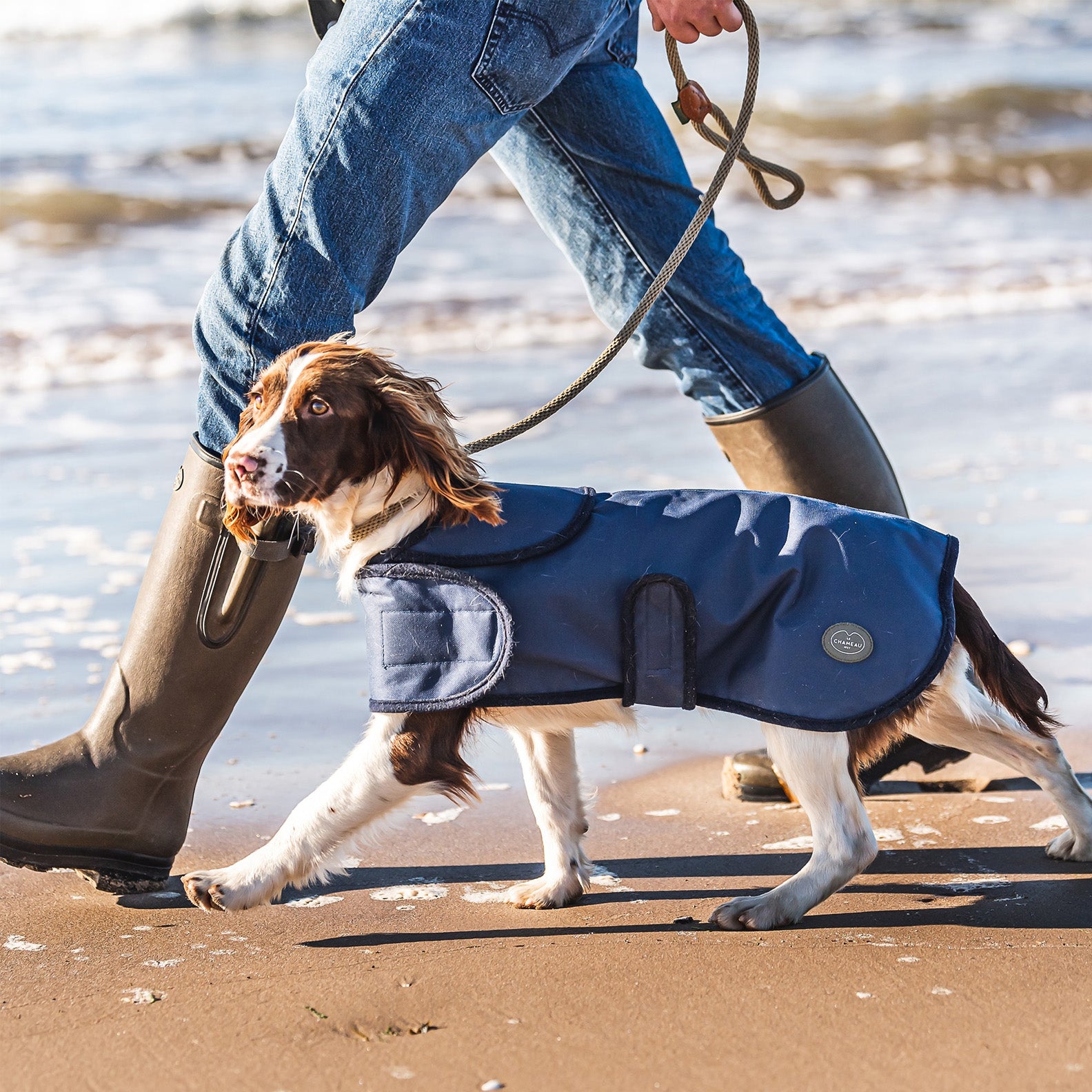 Le-Chameau-Dog-Coat