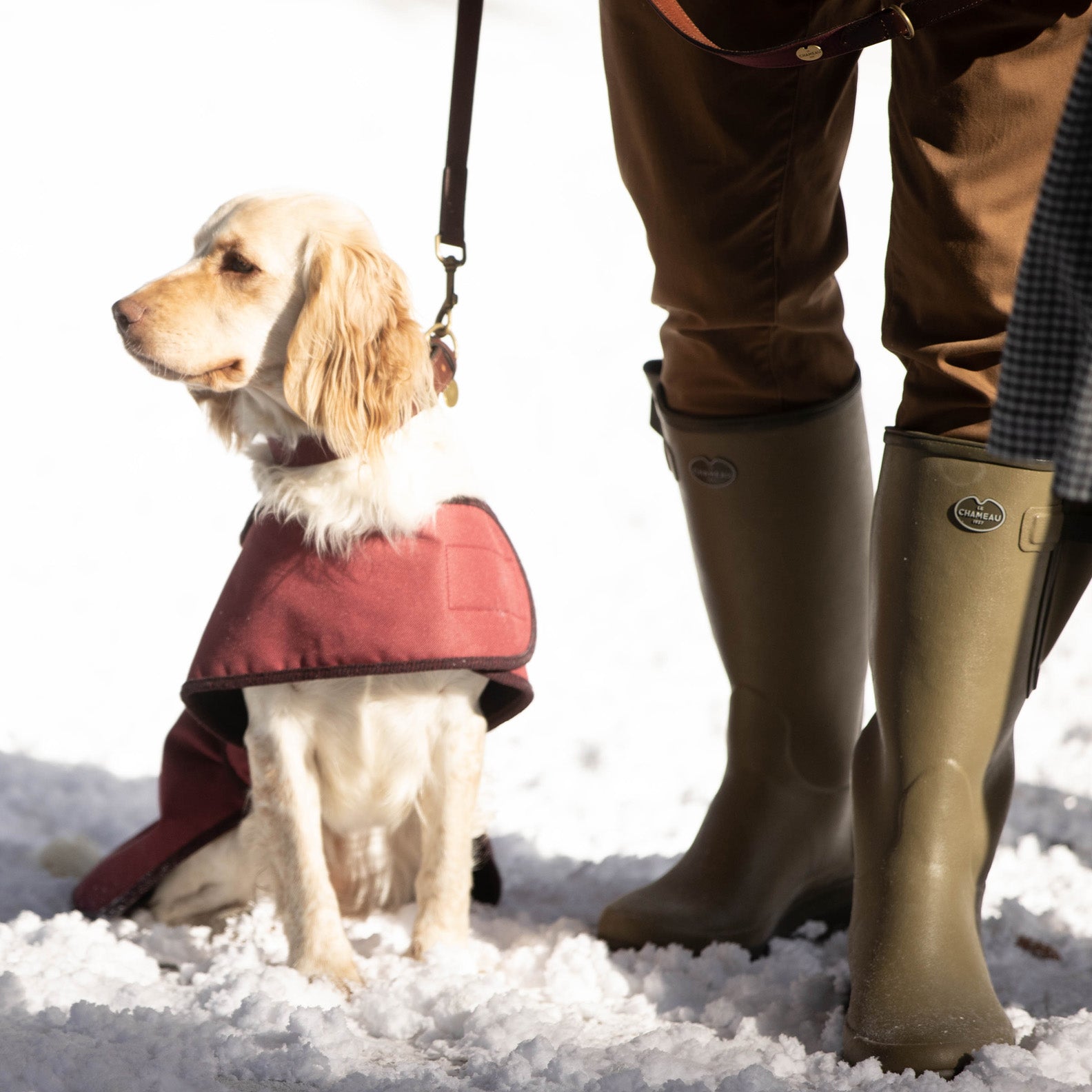 Le-Chameau-Dog-Coat
