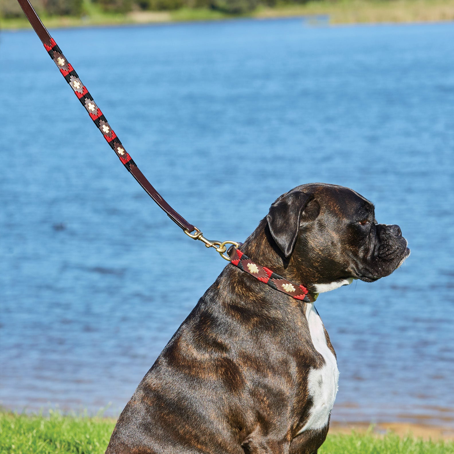 WeatherBeeta-Polo-Leather-Dog-Lead