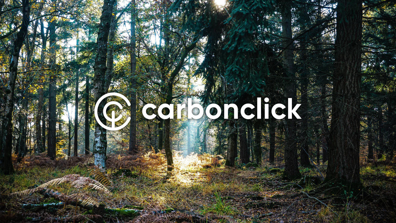 Carbon offset your New Forest purchase with CarbonClick