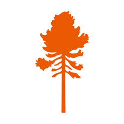 Orange silhouette of a coniferous tree for country clothing and outdoors adventures.