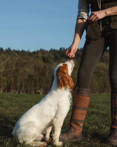 New Forest Ladies Dog Training Vest II