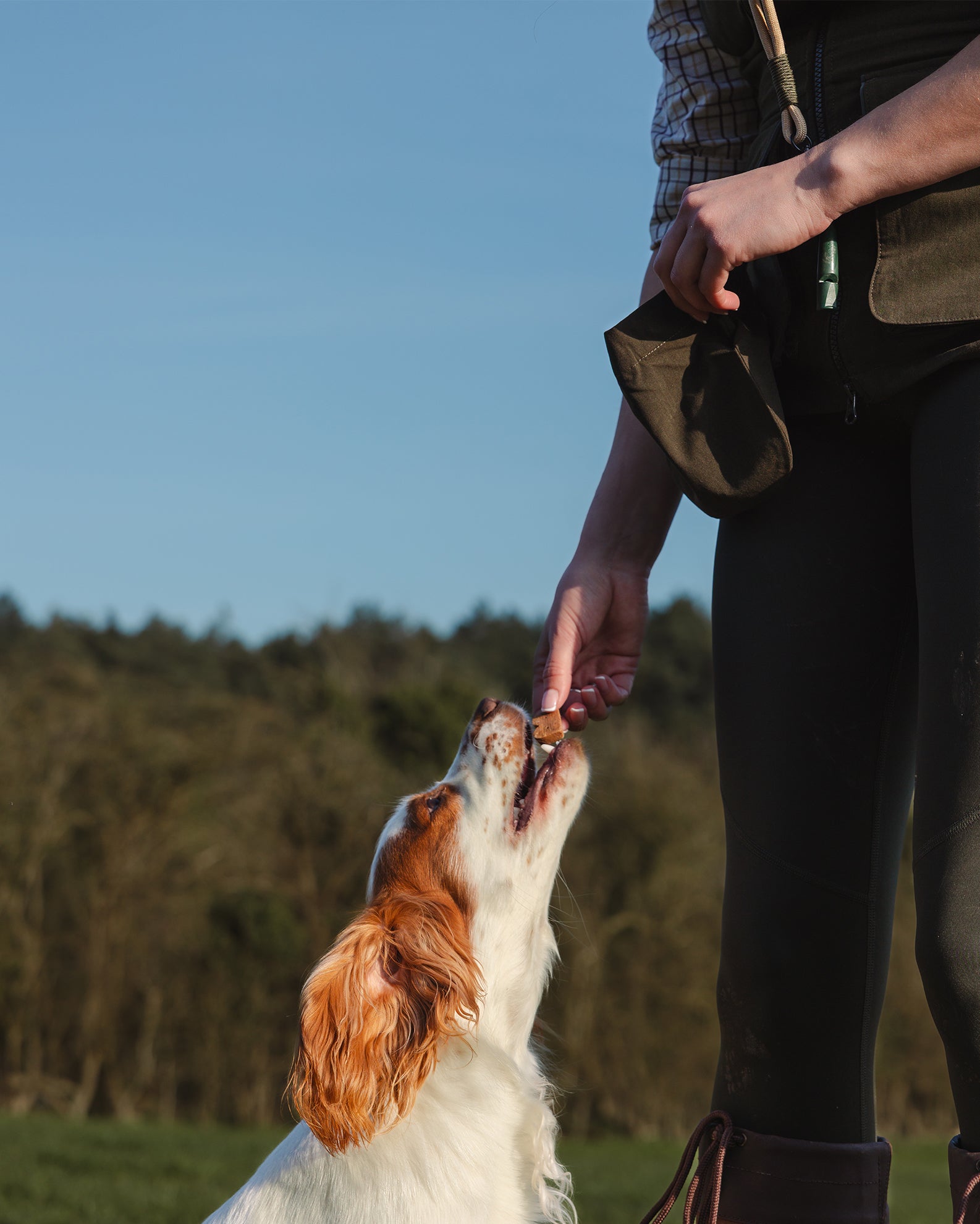 New Forest Ladies Dog Training Vest II