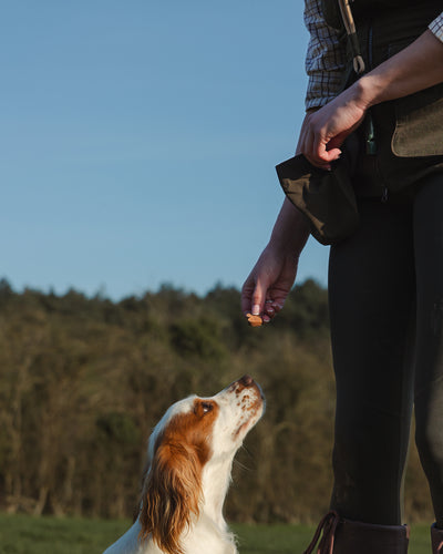 New Forest Ladies Dog Training Vest II