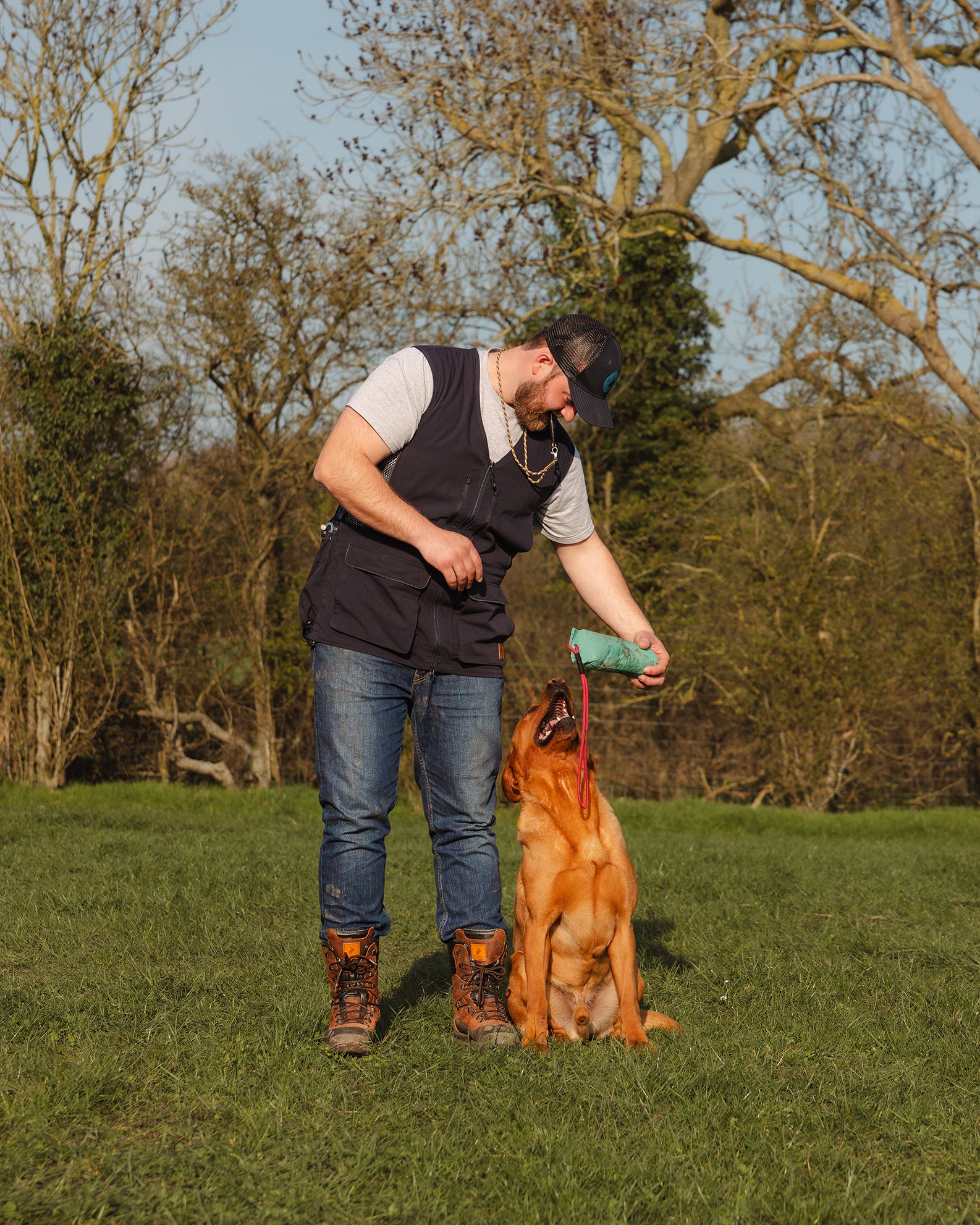 New Forest Dog Training Vest II