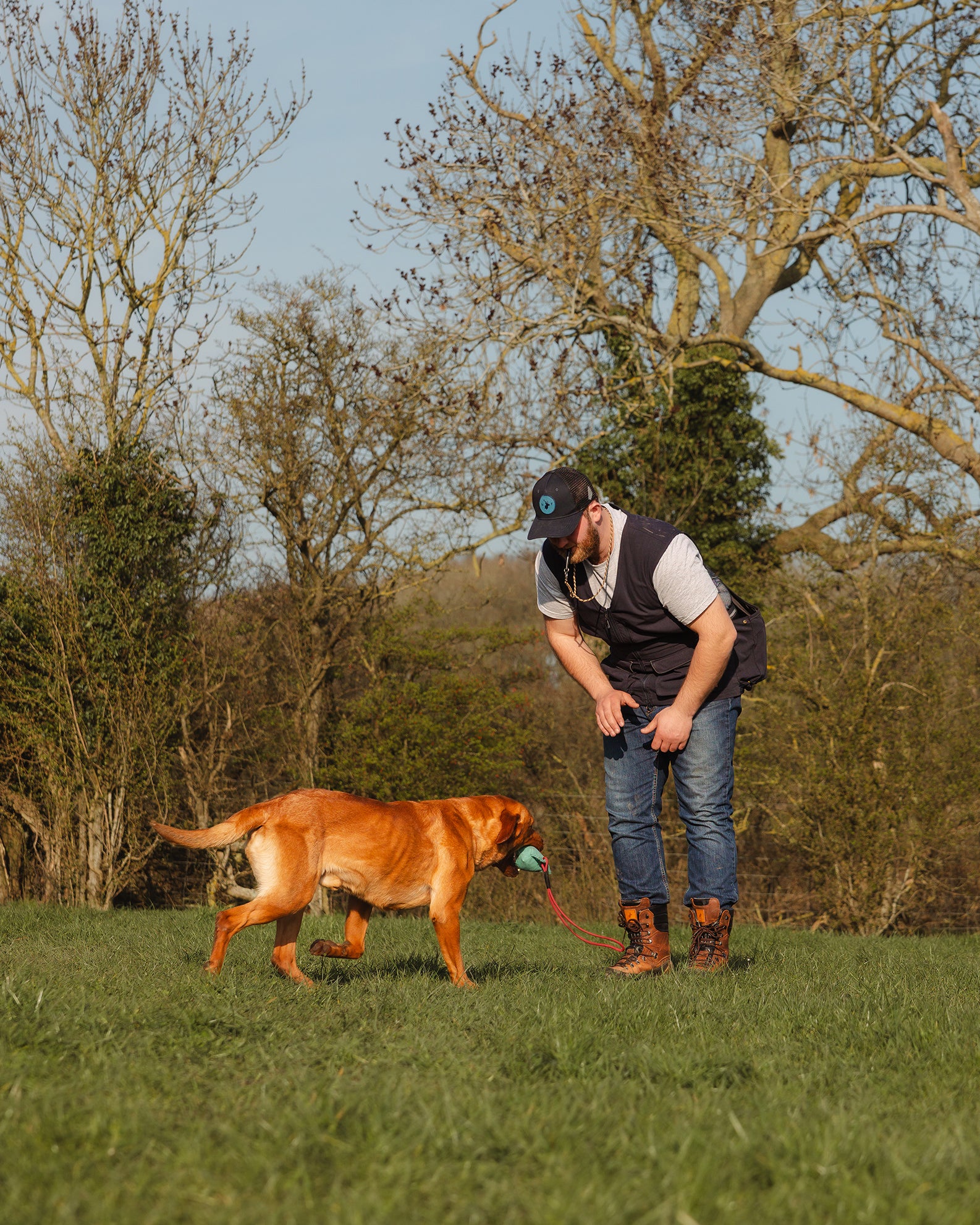 New Forest Dog Training Vest II