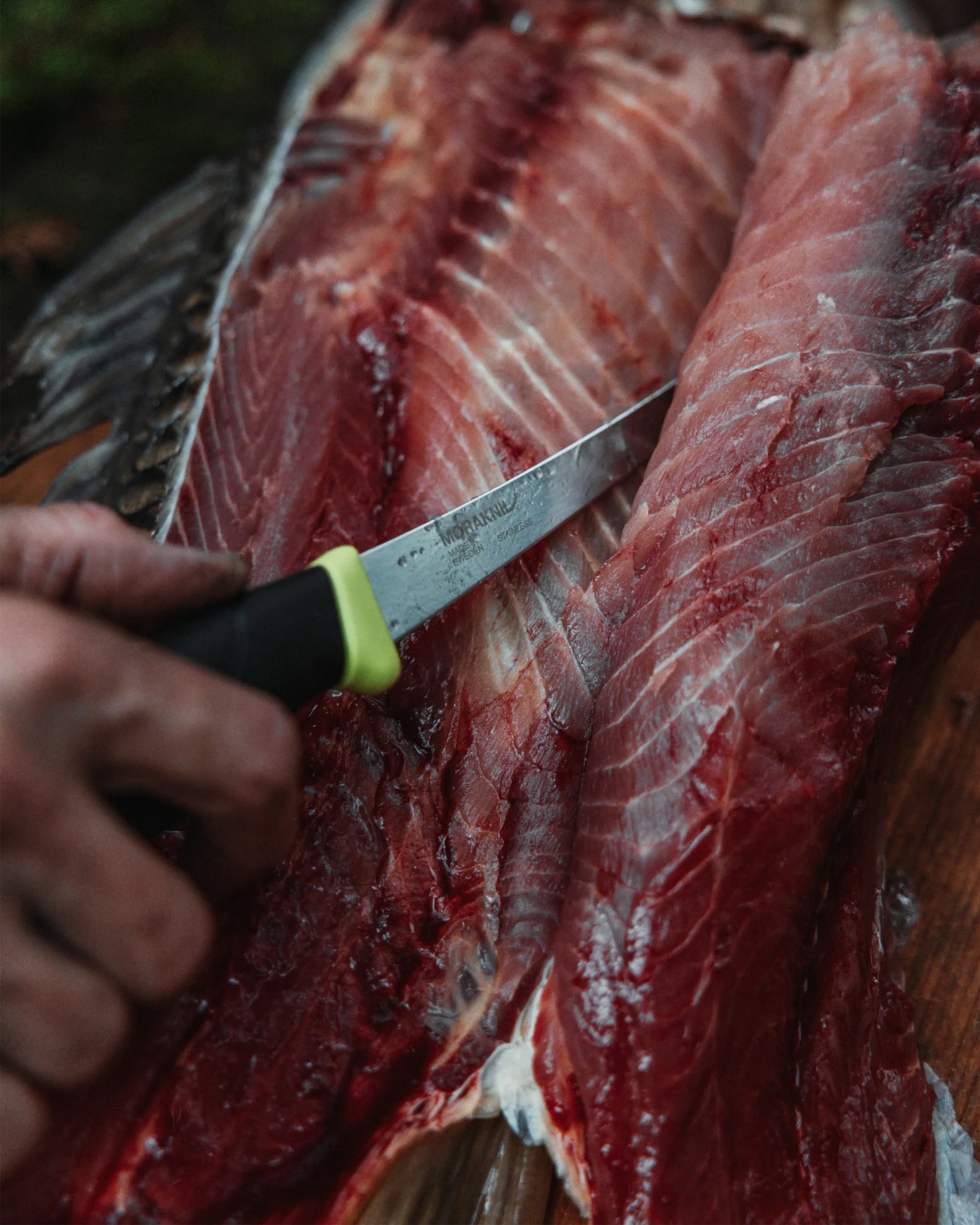 Mora Companion Fish Fillet Knife 155 (S)