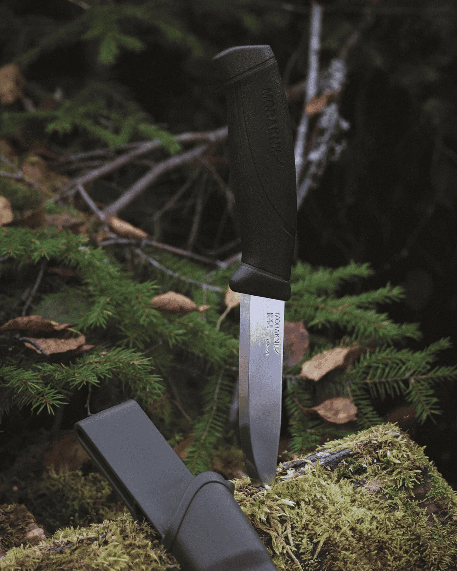 Mora Companion (C)