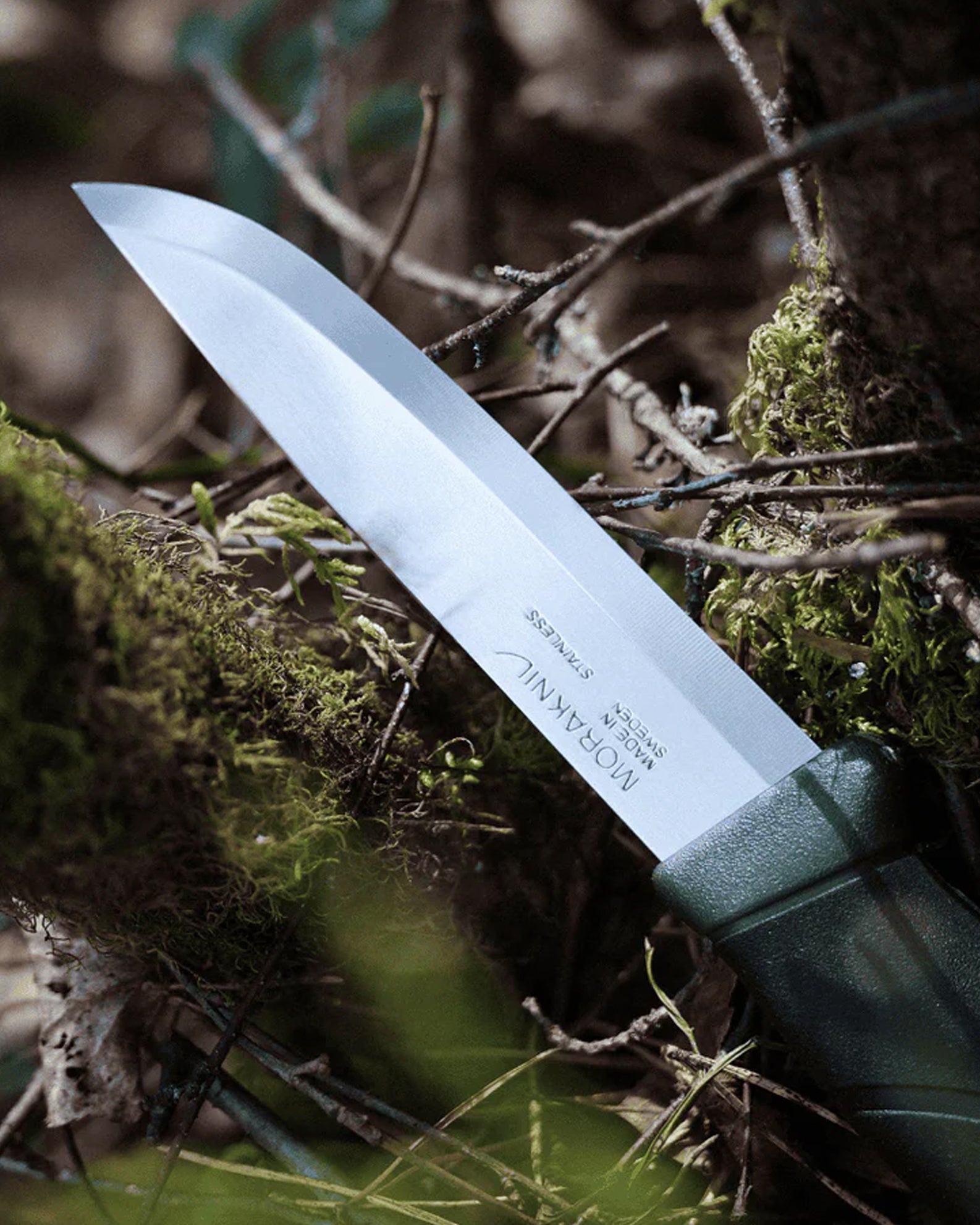 Mora Companion (S)