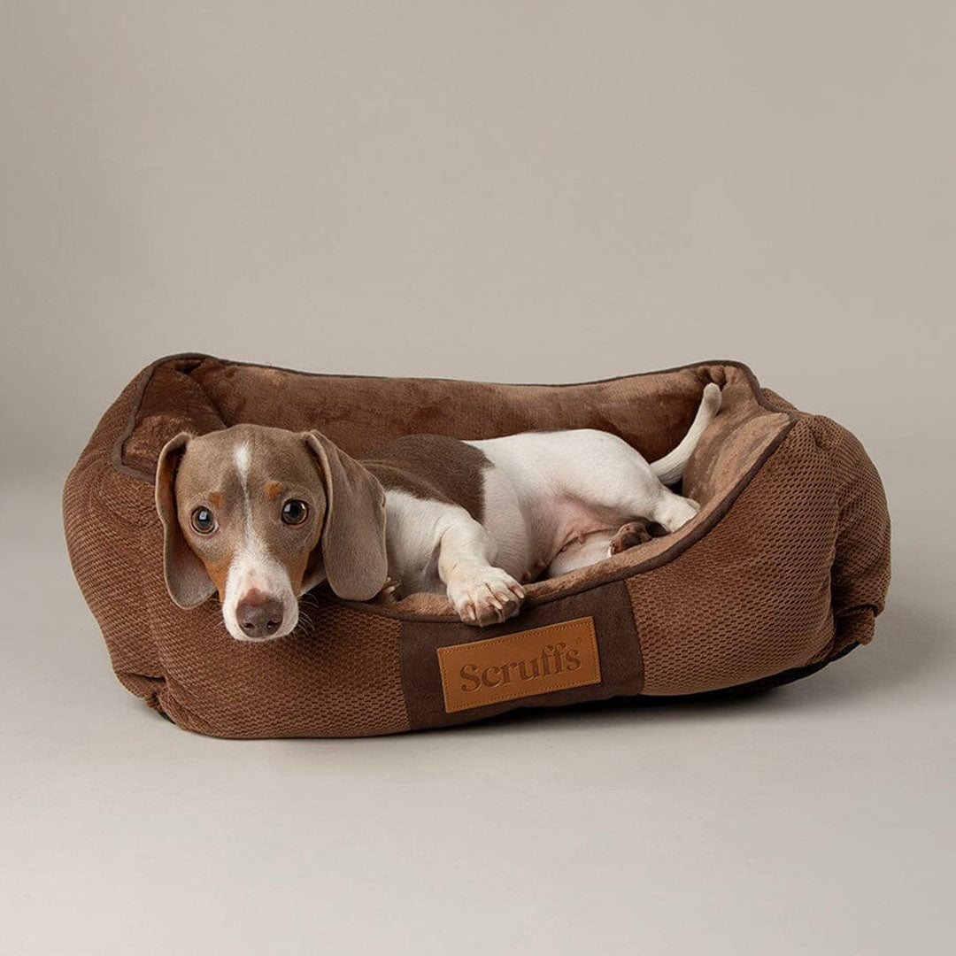 Scruffs Chester Box Bed