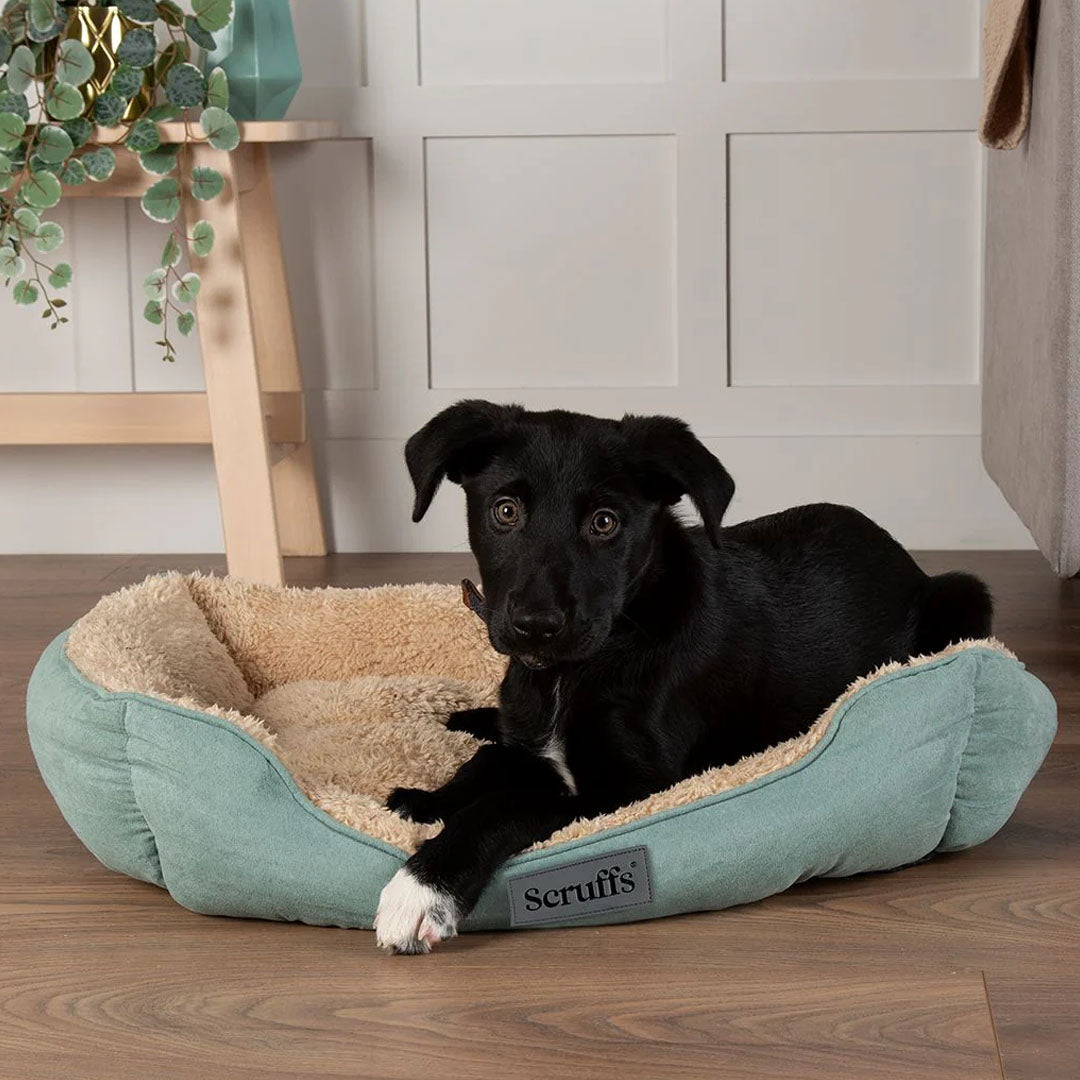 Scruffs Cosy Box Bed