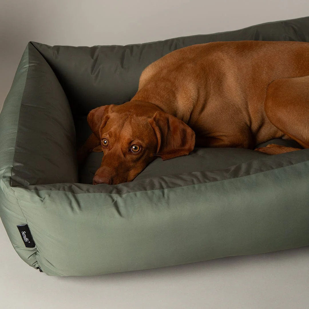 Scruffs Expedition Box Bed
