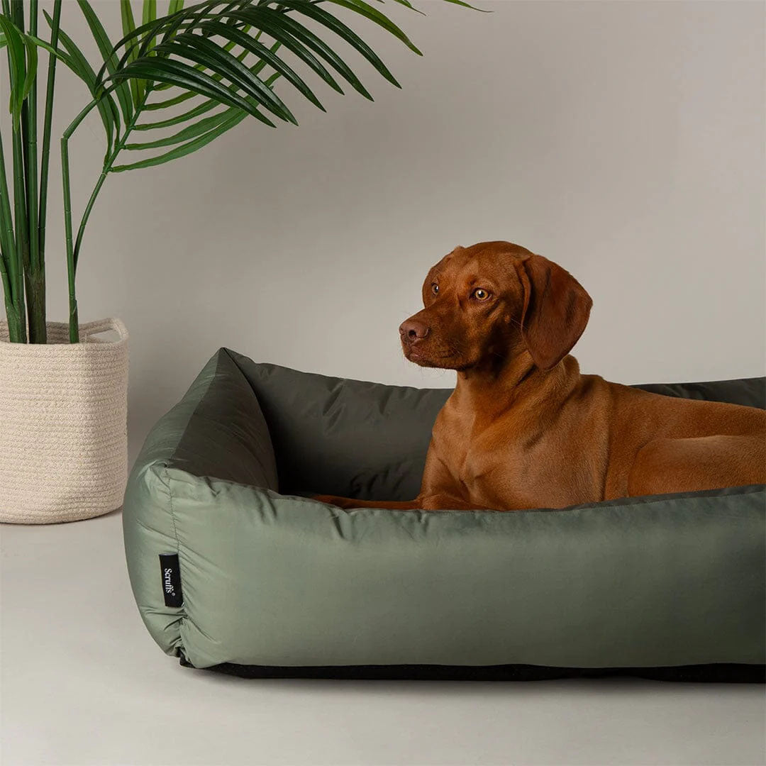Scruffs Expedition Box Bed
