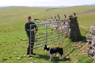 Metal gate in stone wall with Bushbuck Apex Crew Base Layer product shot
