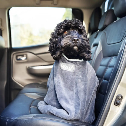 Black curly-haired dog in a gray drying bag relaxing in a car seat after a bath