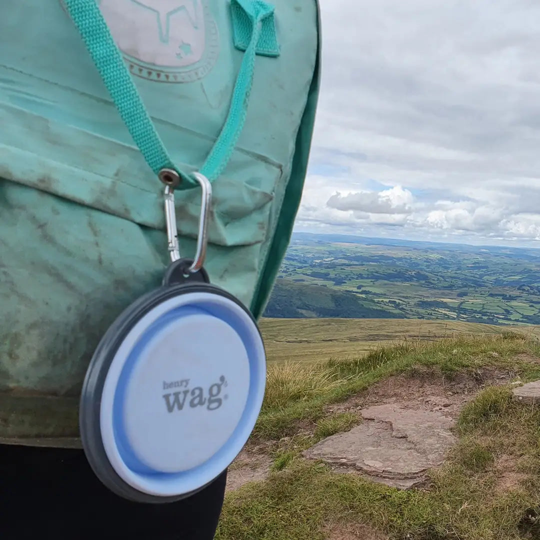 Circular blue and white tag on a teal backpack strap for Henry Wag Dog Travel Bowl