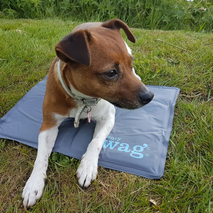 Brown and white dog relaxed on Henry Wag Gel Pet Cooling Mat outdoors