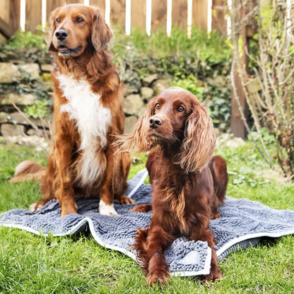 Two dogs chill on a blanket, enjoying the Henry Wag Microfibre Noodle Mat in the garden