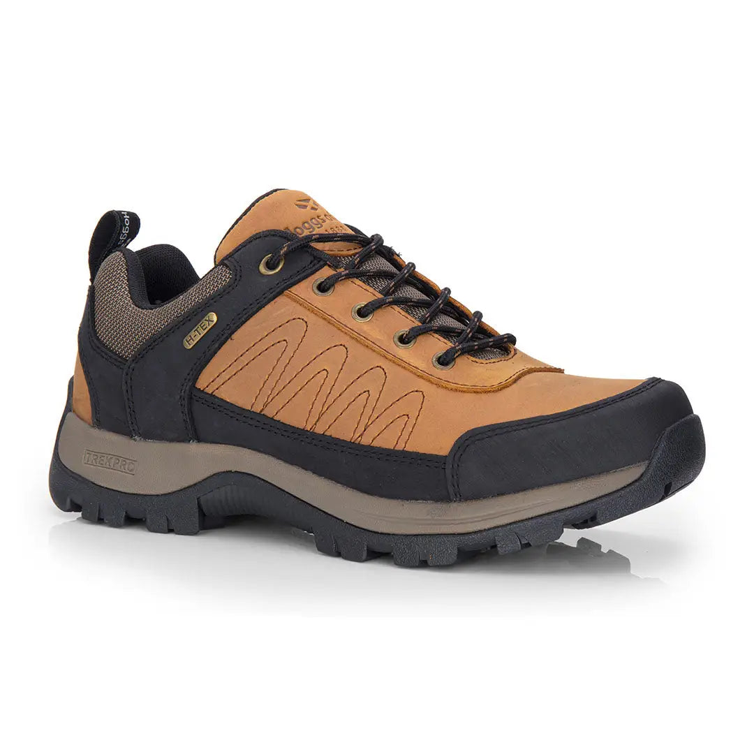 Brown and black waterproof hiking shoe, perfect for Fife Corrie Adventure outings