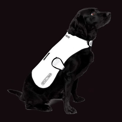 Proviz Reflect360 waterproof dog jacket with white reflective safety vest design