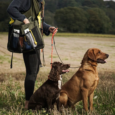 Two dogs on leashes with a person using a Sporting Saint Game Bag