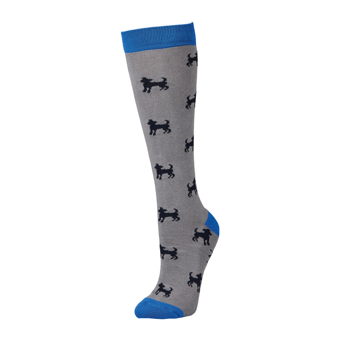 Dublin-Single-Pack-Socks