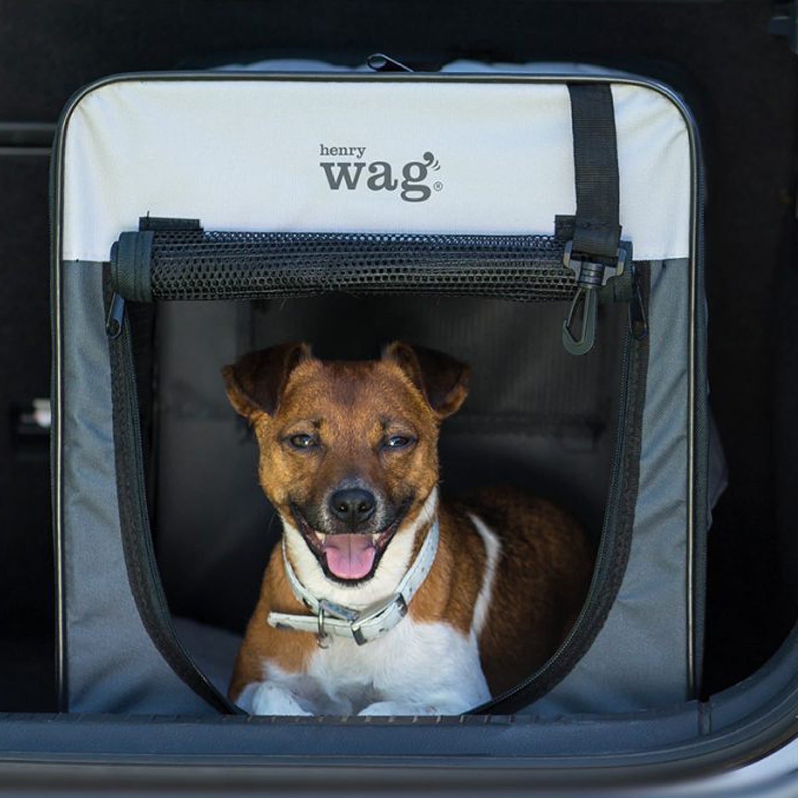Henry-Wag-Folding-Fabric-Travel-Pet-Crate