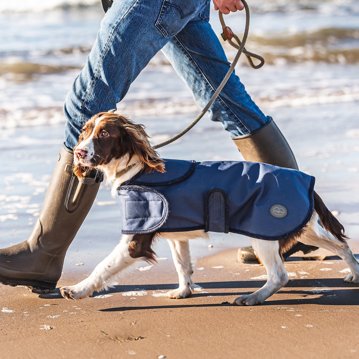 Le-Chameau-Dog-Coat