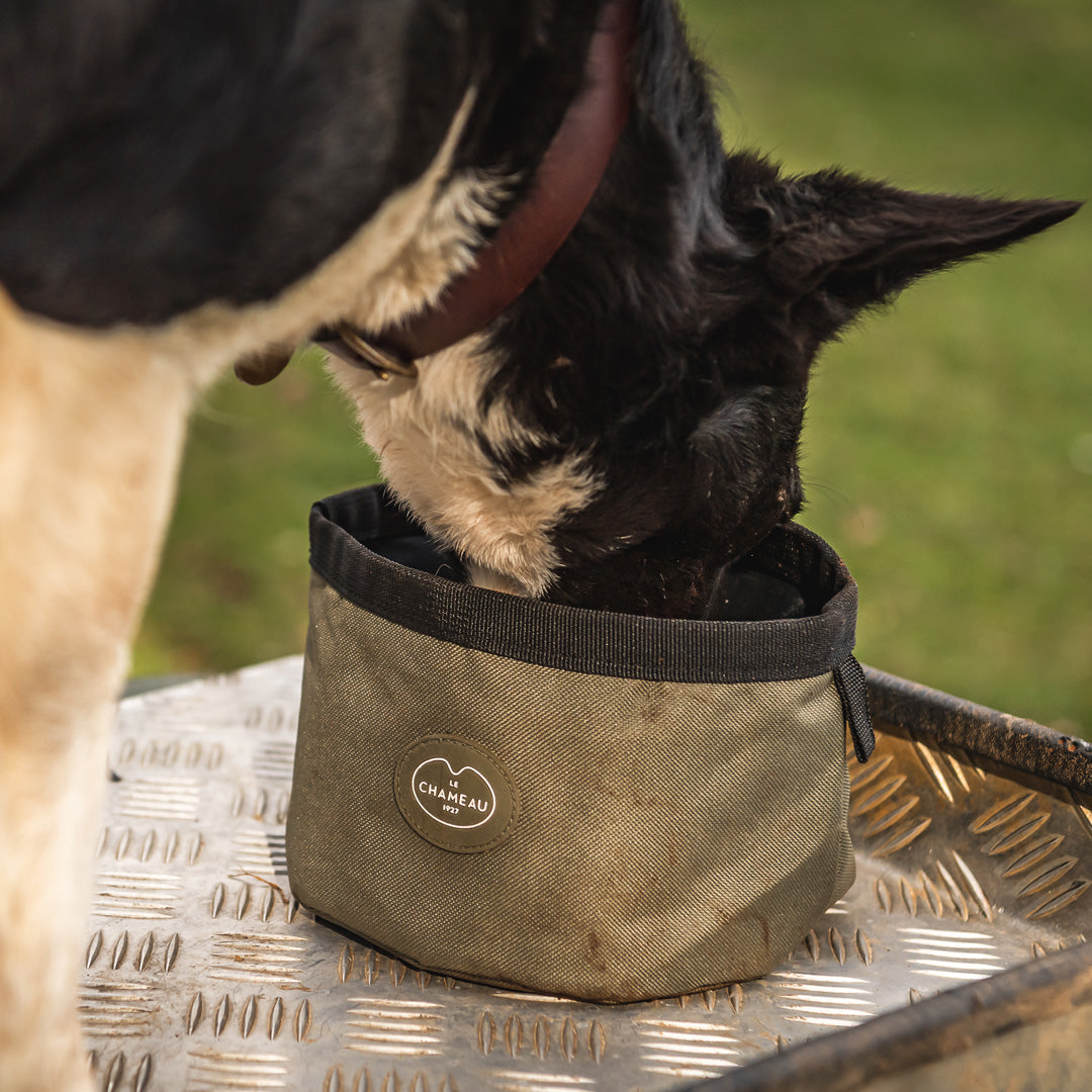 Le-Chameau-Portable-Dog-Bowl