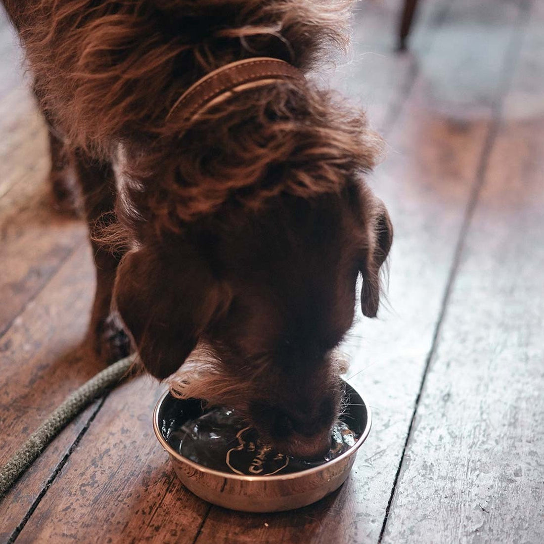 Le-Chameau-Large-Stainless-Steel-Dog-Bowl