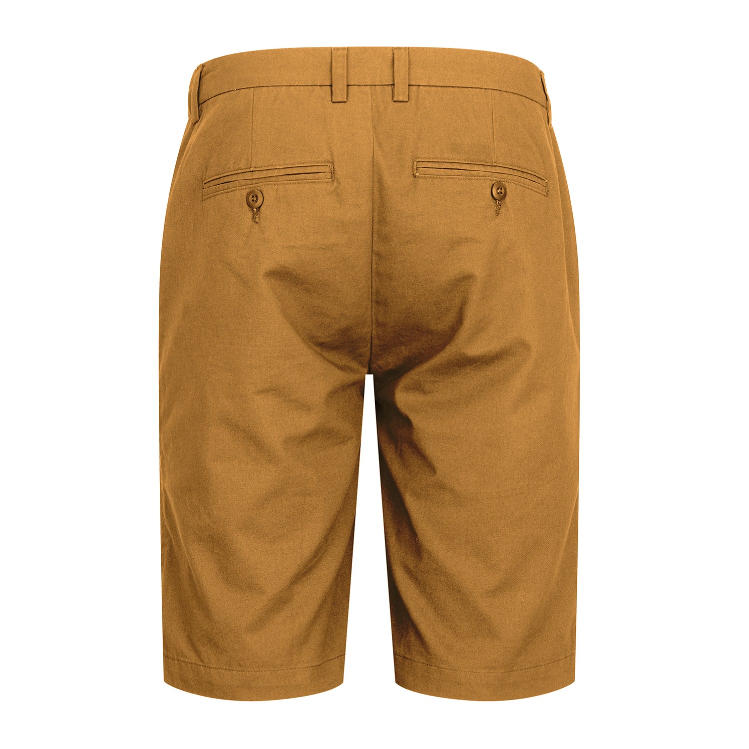 New-Forest-Chino-Shorts