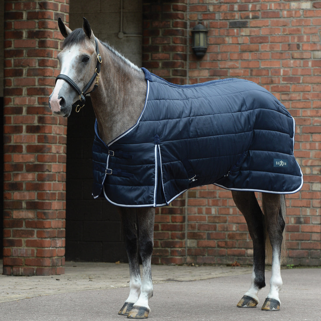 Saxon-Channel-Quilt-Stable-Standard-Neck-Medium-Horse-Rug
