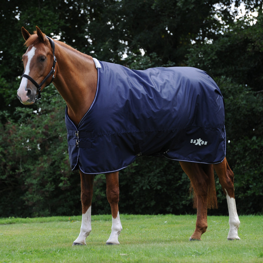 Saxon-Defiant-600D-Standard-Neck-Medium-Horse-Rug