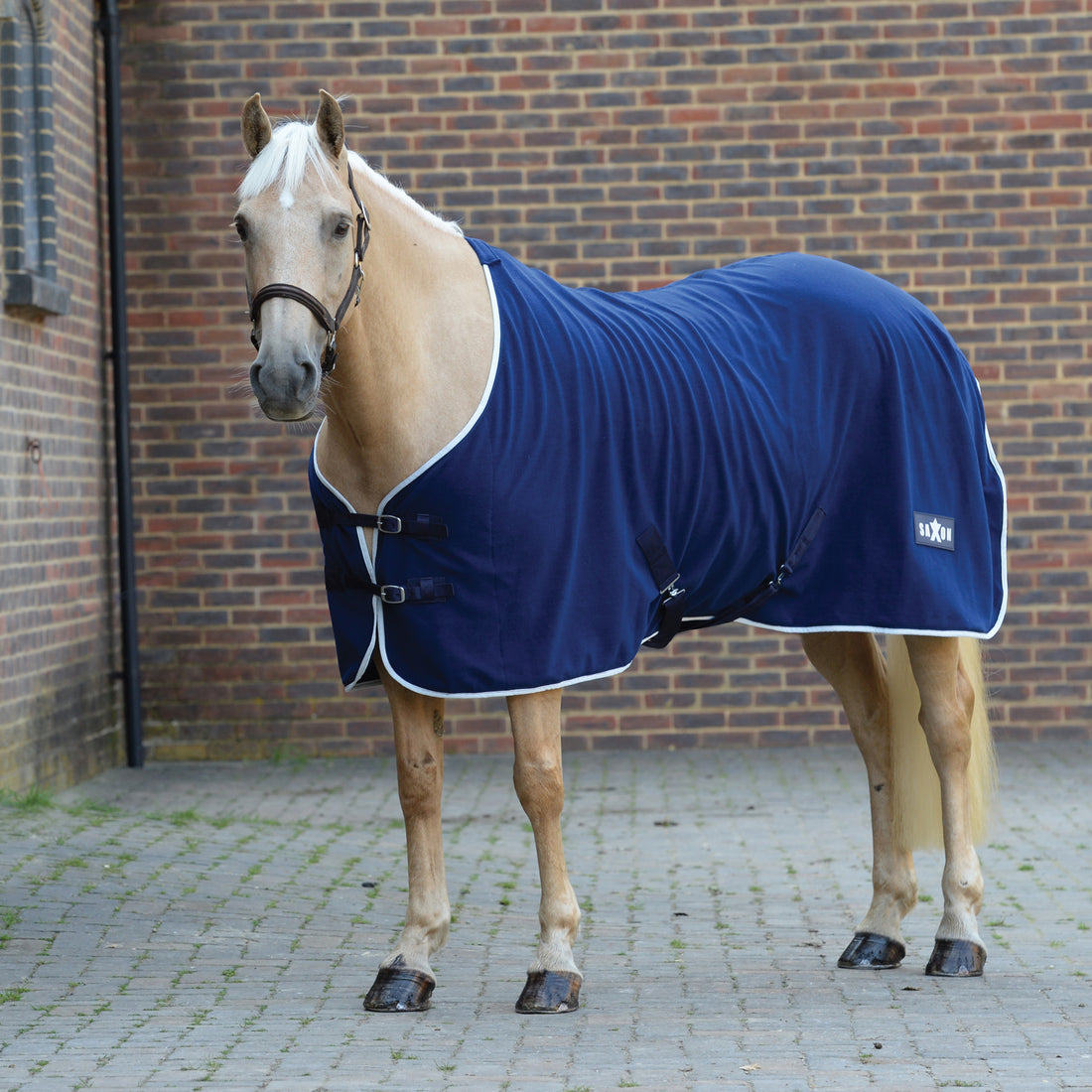 Saxon-Defiant-Fleece-Standard-Neck-Horse-Rug