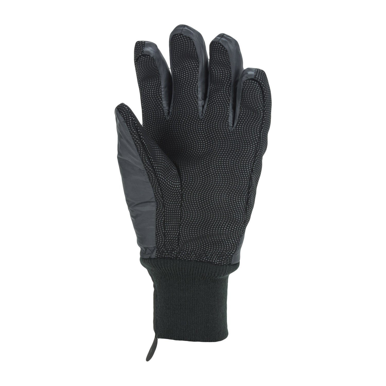Sealskinz-Waterproof-All-Weather-Lightweight-Insulated-Gloves