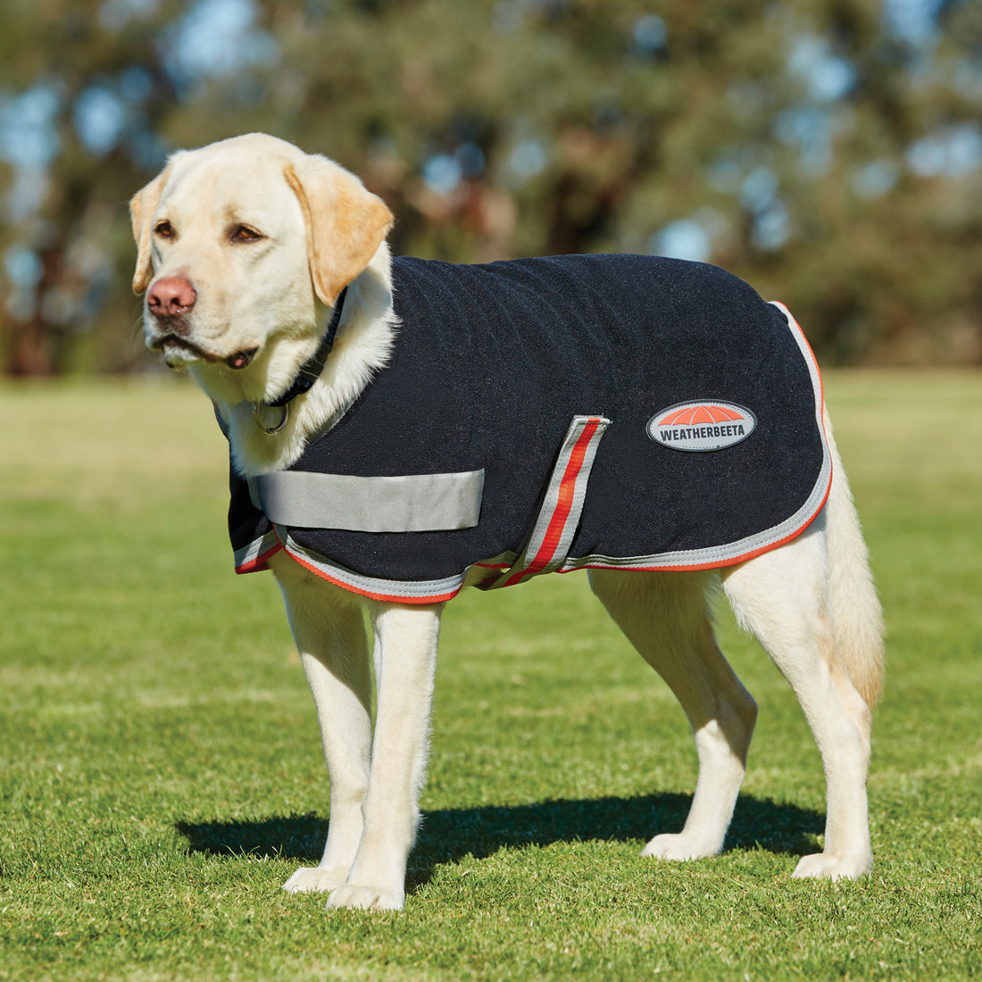 Weatherbeeta-Comfitec-Therapy-Tec-Fleece-Dog-Coat