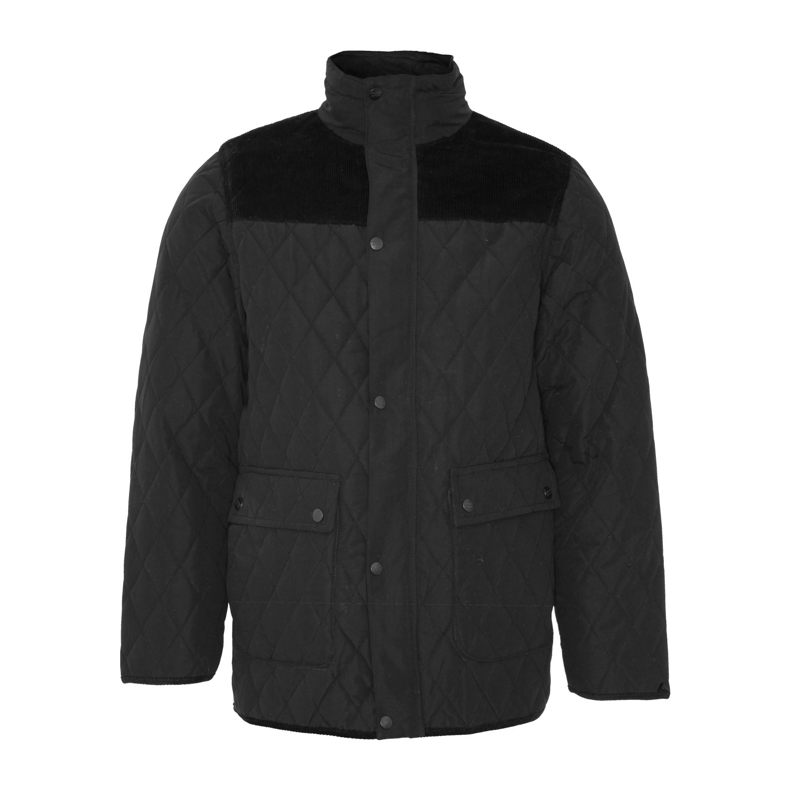 New champion sales jackets